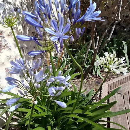 Homestay szállás La Tourterelle La Rivière-Saint-Sauveur