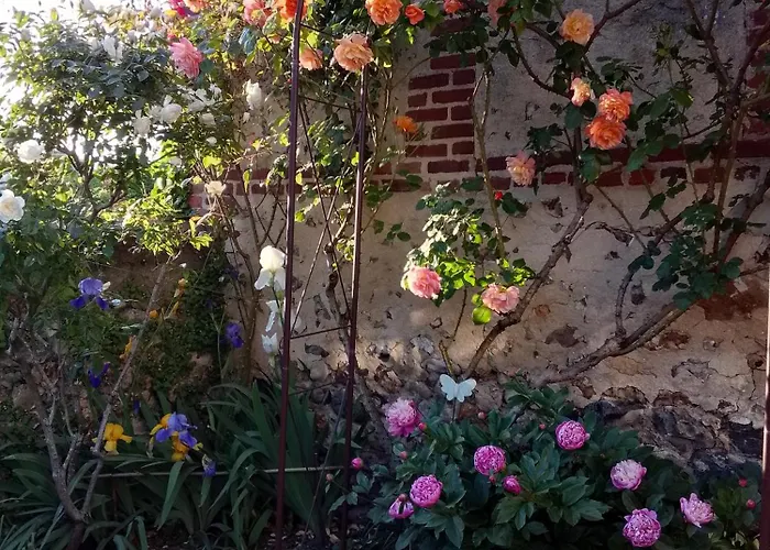 La Tourterelle 拉·里维耶尔·圣·秀