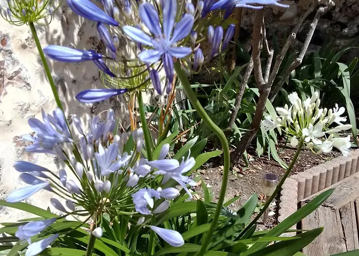 民宿 La Tourterelle 拉·里维耶尔·圣·秀